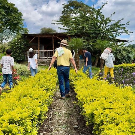Hacienda Cafetera La Gaviota Villa Chinchiná Eksteriør bilde